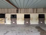 Cuadra de propietarios En venta Sarthe