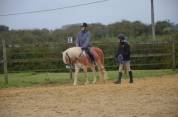 jument HAFLINGER PP Confirm&eacute;e