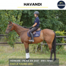 HAVANDI - PS - 5 ANS 