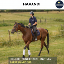 HAVANDI - PS - 5 ANS 