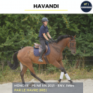 HAVANDI - PS - 5 ANS 