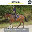 HAVANDI - PS - 5 ANS 