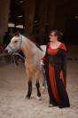 Super poney cherche pilote 