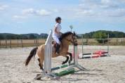 Super poney cherche pilote 
