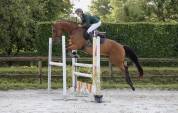Jument CSO amateur 