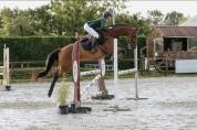 Jument CSO amateur 