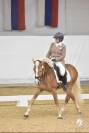 Santa Cruz &ndash; &Eacute;talon Haflinger approuv&eacute; France & Allemag