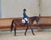 Hongre 12ans 