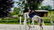 Poney fran&ccedil;ais de selle PP