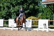 Hongre AES de 9 ans dressage