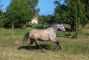 Andalzon