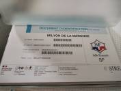 Hongre 4 ans