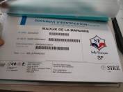 Madgik de la Maronne hongre 4 ans
