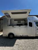 Vend camion chevaux 2 places 