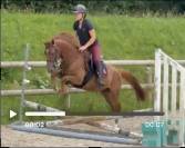 Hongre PFS 4 ans
