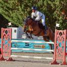 Hongre SF 8 ans - Sans faute 115/120