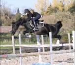 A louer - ponette de sport et loisir 