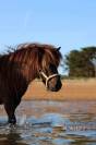Ponette onc 3 ans
