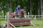 &Eacute;talon Welsh COB