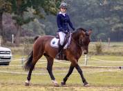 &Eacute;talon Welsh COB