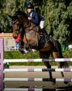 Caballo de salto