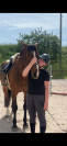 DP dressage 