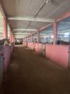 Centre d'entrainement pour chevaux - 11 ha