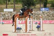 Hongre 14 ans  amateur &eacute;lite 