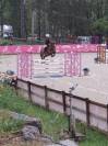 TOP HONGRE DE 8 ANS 