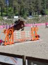 TOP HONGRE DE 8 ANS 