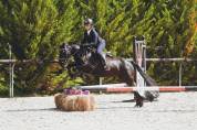 Confiage ponette de sport 10 minutes de Grenoble