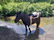 Confiage ponette de sport 10 minutes de Grenoble