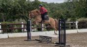 Liberty des Palisse - PFS - 5 ans 