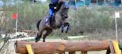 Vendo poni C 7 a&ntilde;os por cambio categor&iacute;a 