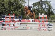 Cheval de sport 
