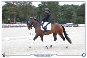 Cheval Dressage 6 ans 