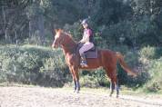 KIARA Jument de 9 ans 
