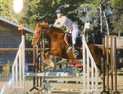 KIARA Jument de 9 ans 