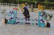 Male 4 ans Catchar mail x Casano