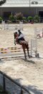 Cheval &agrave; confier 