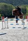 Jument de sport &agrave; vendre: Guarana Bo Regard