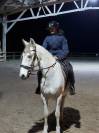 Cheval &agrave; vendre 