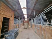 Propiedad rural En venta Lot