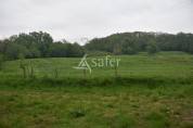 Propiedad rural En venta Lot