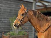 Ponette PFS 5 ans - SPORT