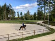 G&icirc;tes &eacute;questres 5 * - boxes & carri&egrave;re