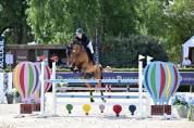 Cheval a Vendre