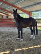 JOLIE 3 ANS