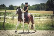 Poney D pp rbp &eacute;talon 1m42 3 ans