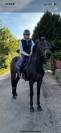 Cheval pour enfants ou amateur